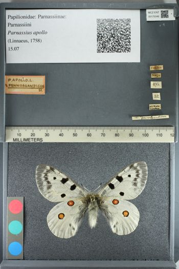 Media type: image;   Entomology 175046